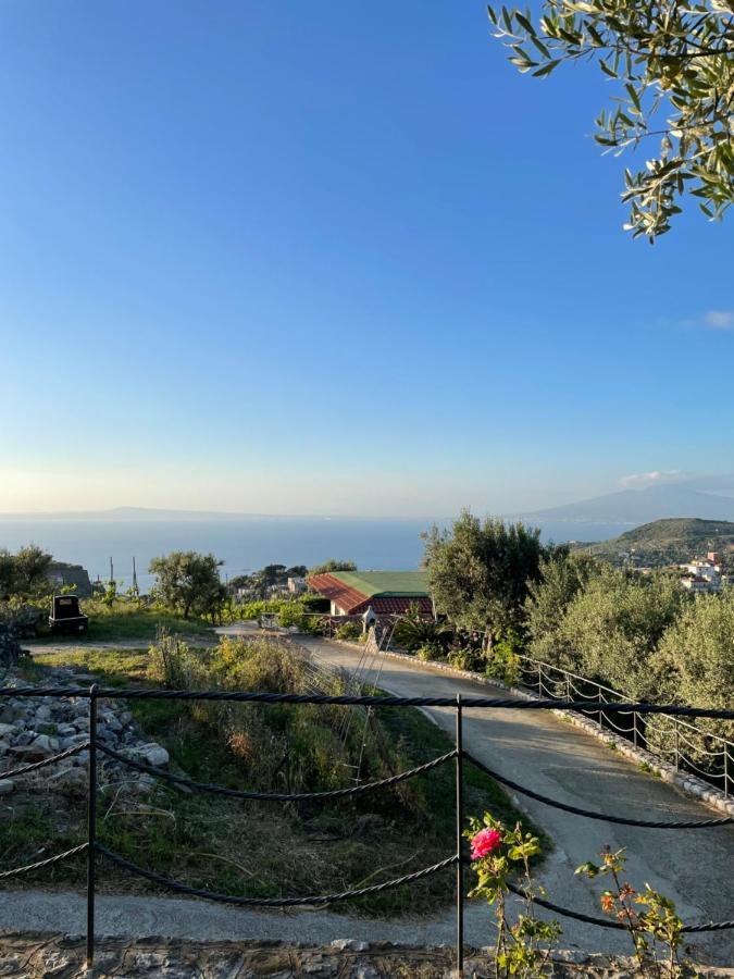 Loren House, Relaxing Location With Seaview ماسّا لوبْرينسِ المظهر الخارجي الصورة